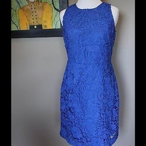 Jcrew fitted lace dress